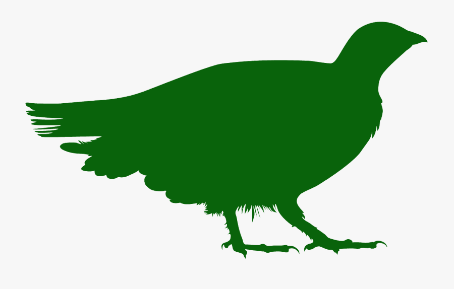 Tétra Du Canada, Transparent Clipart