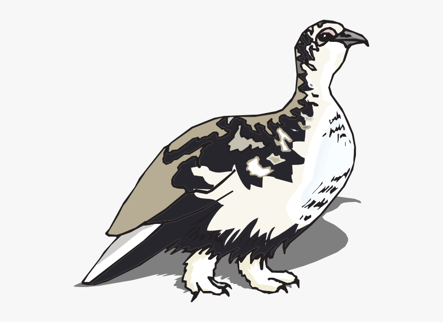 Ptarmigan Png, Transparent Clipart