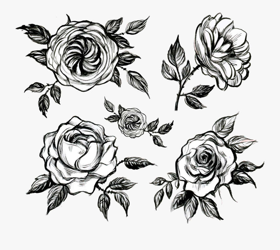 Transparent Rose Drawing Png - Roses Black And White Png, Transparent Clipart