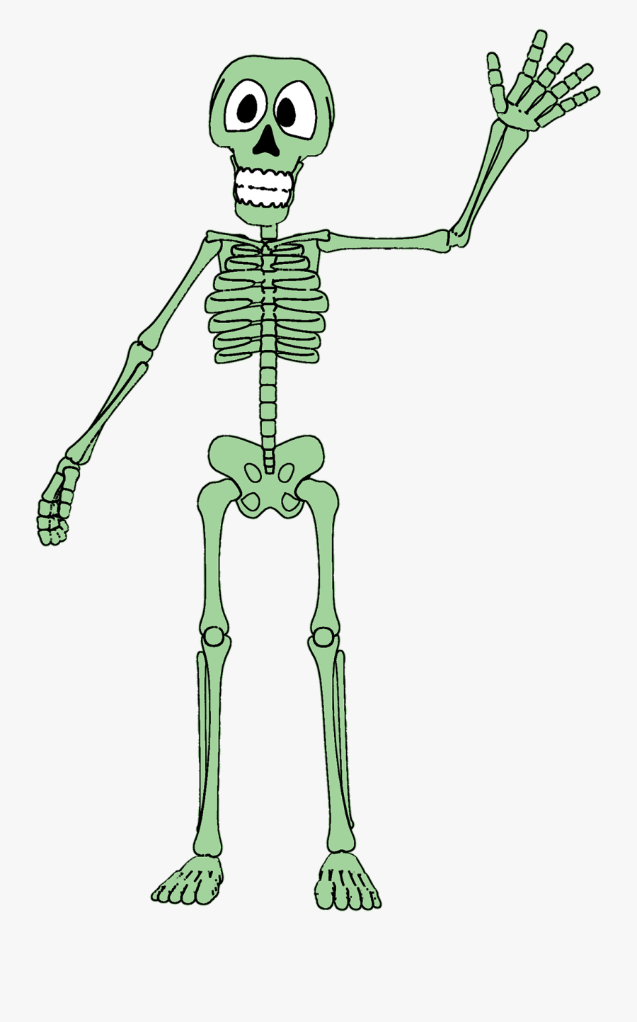 Cartoon, Transparent Clipart