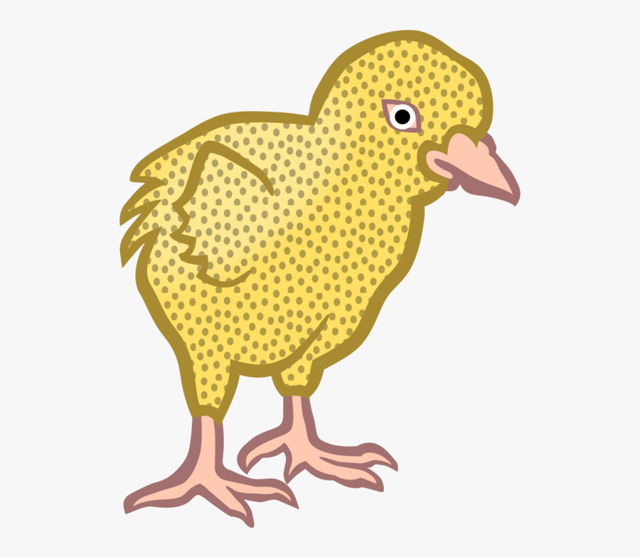 Poultry,art,fowl, Transparent Clipart