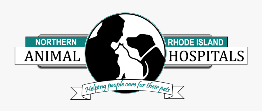 Graphic Design, Transparent Clipart