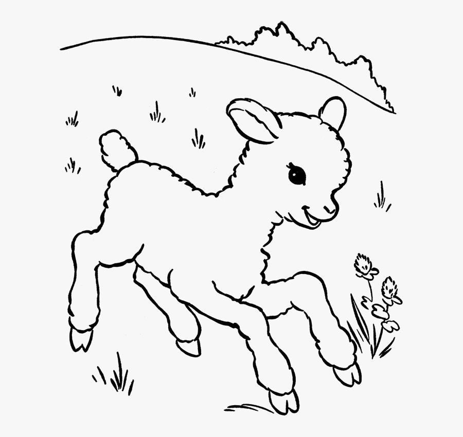 Animals Printable Coloring Pages - Baby Lamb To Color, Transparent Clipart