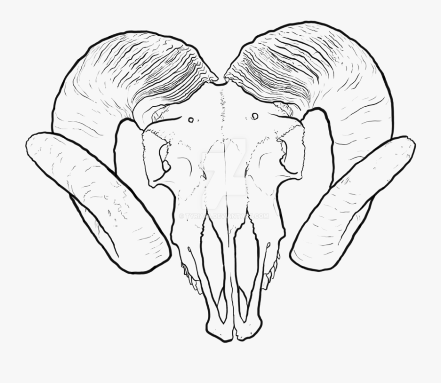 Ram At Getdrawings Com - Ram Skull Transparent Drawing, Transparent Clipart