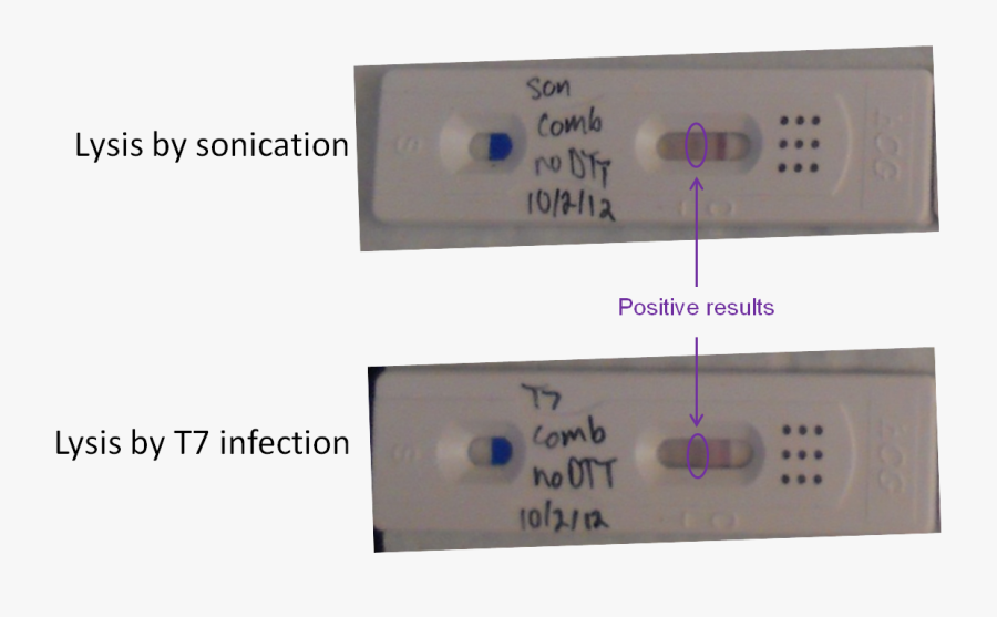 Transparent Positive Pregnancy Test Png - Pregnancy Test Kit Result Check, Transparent Clipart