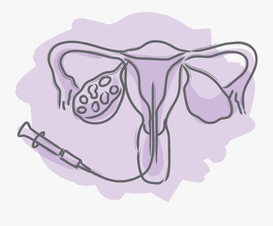 Sketch, Transparent Clipart