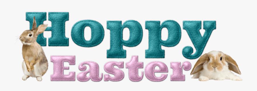 Number, Transparent Clipart