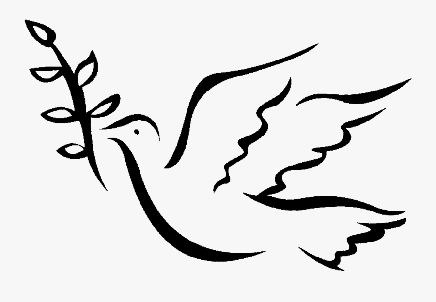 An Error Occurred - Dove, Transparent Clipart