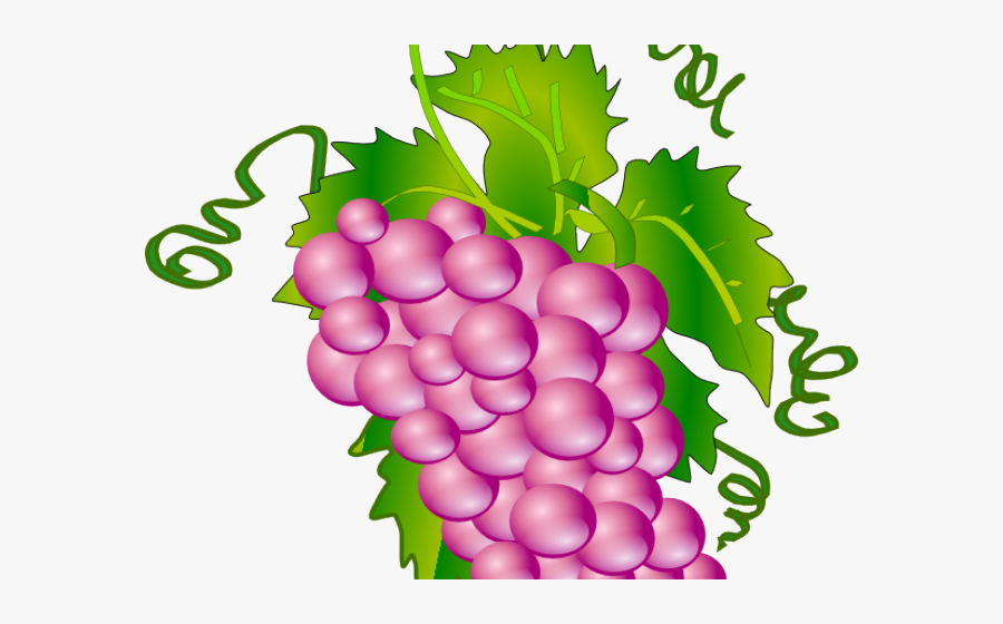 Communion Grapes, Transparent Clipart