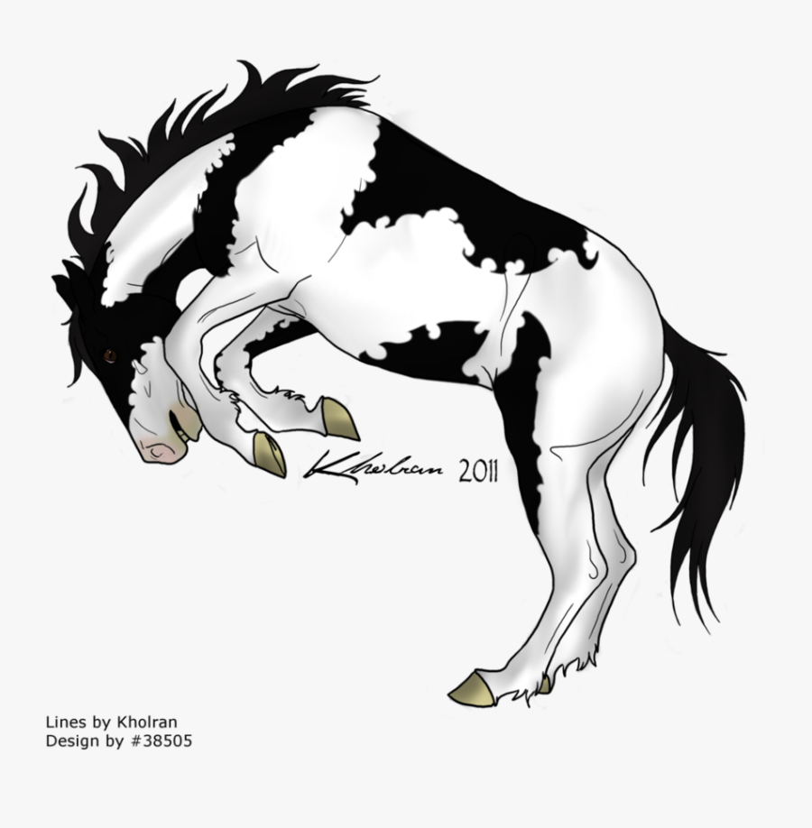 Picture - Stallion, Transparent Clipart