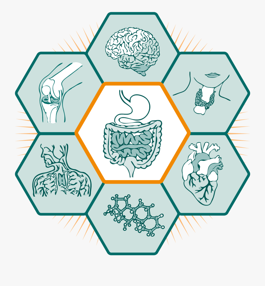 Profile, Transparent Clipart