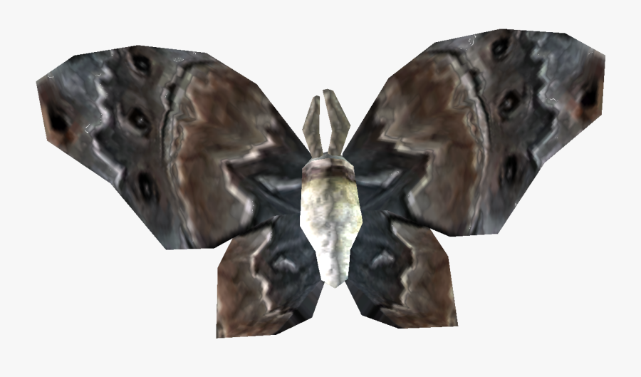 Transparent Moths Png, Transparent Clipart