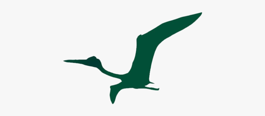 Transparent Flying Prehistoric Quetzalcoatlus Clipart, - Seabird, Transparent Clipart
