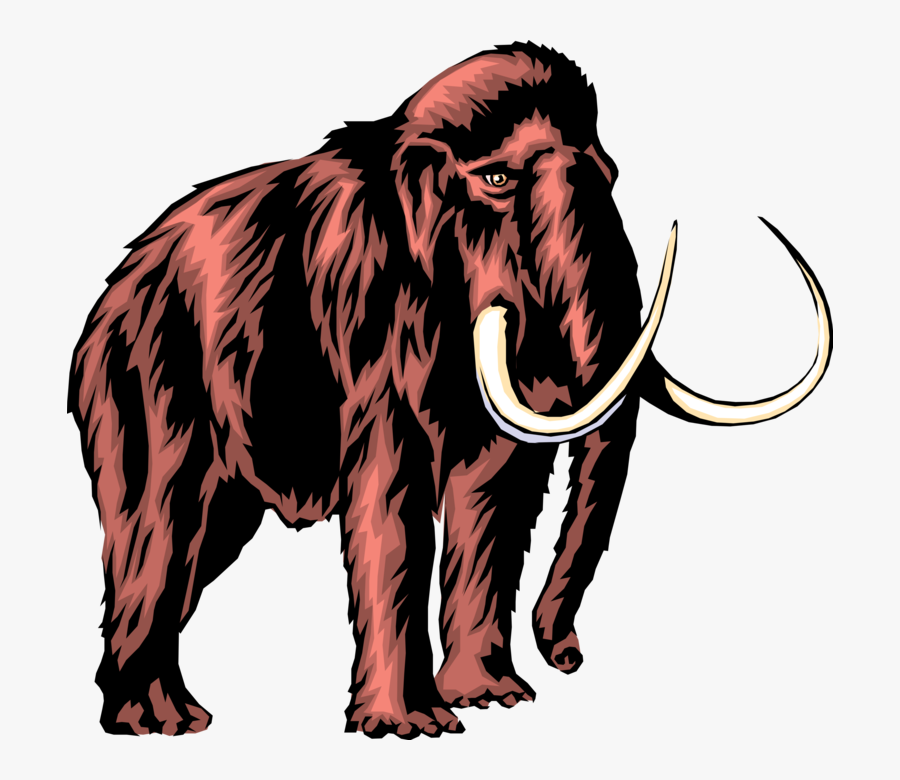 Prehistoric Woolly Image Illustration Clip Freeuse - Woolly Mammoth Mammoth Transparent Background, Transparent Clipart