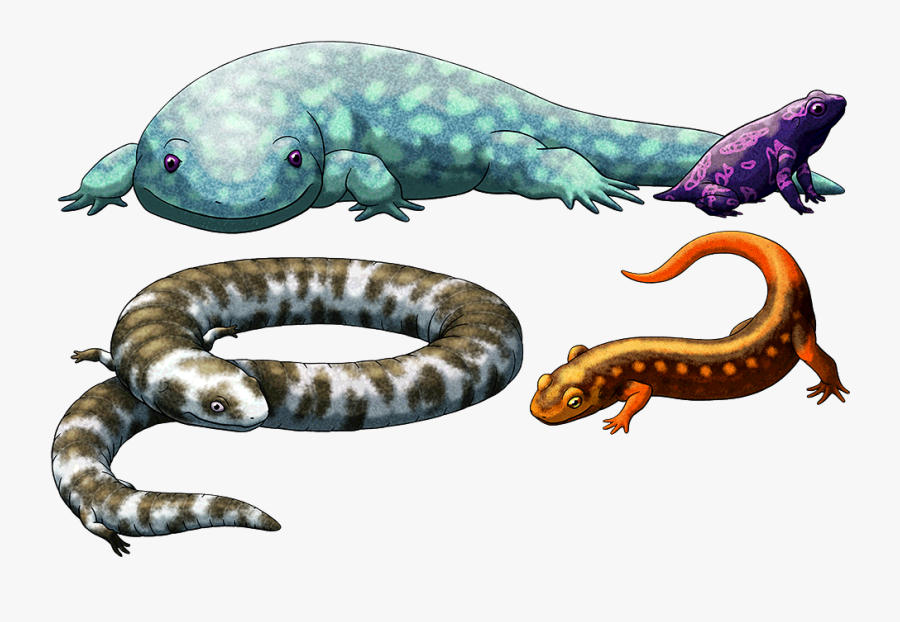 Clip Art Prehistoric Amphibians - Prehistoric Amphibians, Transparent Clipart