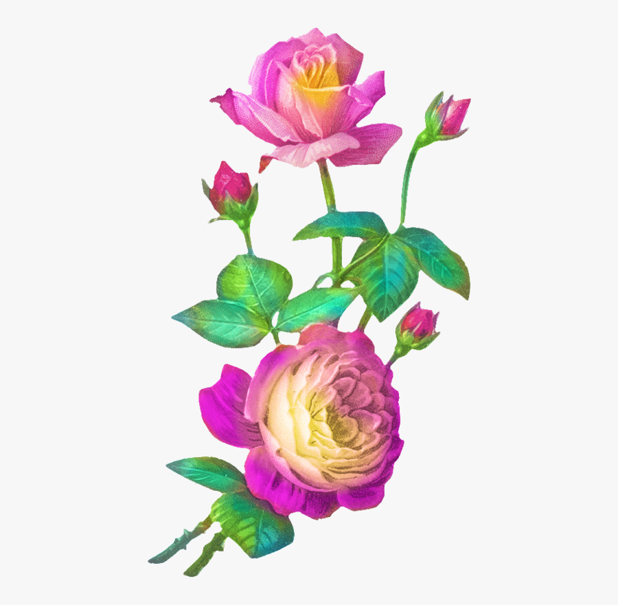 Transparent Nana Clipart - Rosen Vintage Gif, Transparent Clipart