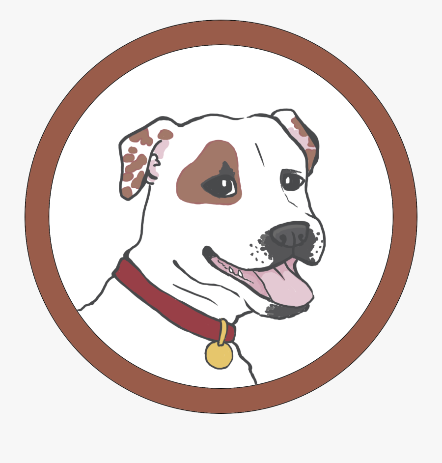 The Dog Stay - Dog Catches Something, Transparent Clipart