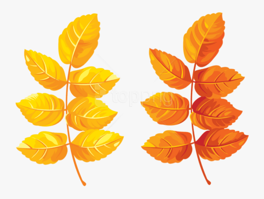 Free Png Download Fall Leaves Clipart Png Photo Png - Portable Network Graphics, Transparent Clipart