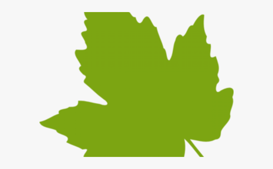 Autumn Leaves Clipart Green Fall Leaf - Feuille De Vigne Dessin, Transparent Clipart
