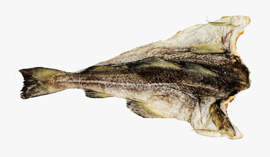 Pescado De Bacalao, Transparent Clipart