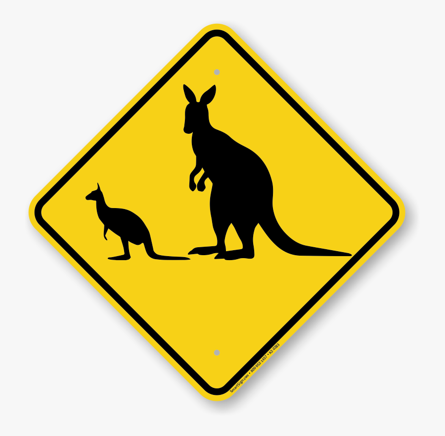 Transparent Kangaroo And Joey Clipart - Kangaroo Crossed With A Human, Transparent Clipart