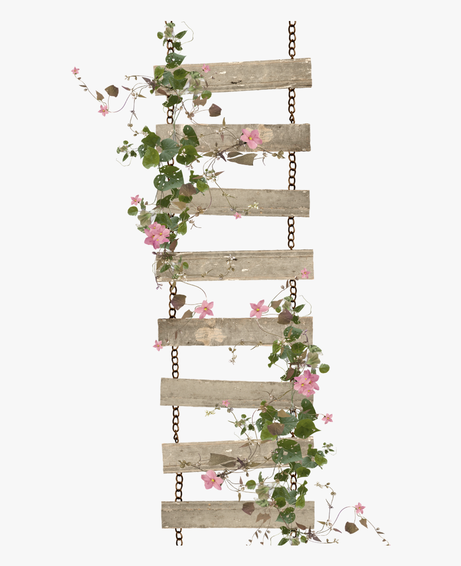 #mq #ladder #roses #vines #leaf #leaves - Transparent Rose Vines Png, Transparent Clipart