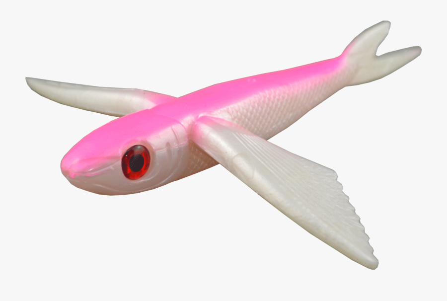 Home / Fatboy Flying Fish - Fatboy 8 Flying Fish, Transparent Clipart