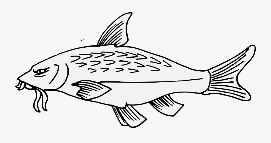 Fish Heraldry, Transparent Clipart