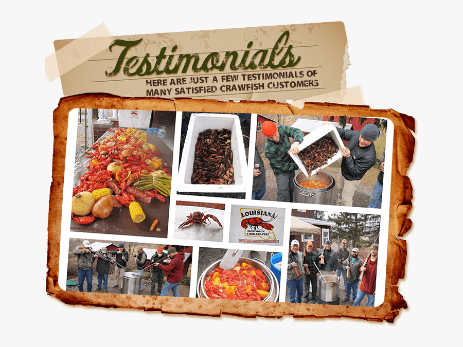 Superfood, Transparent Clipart