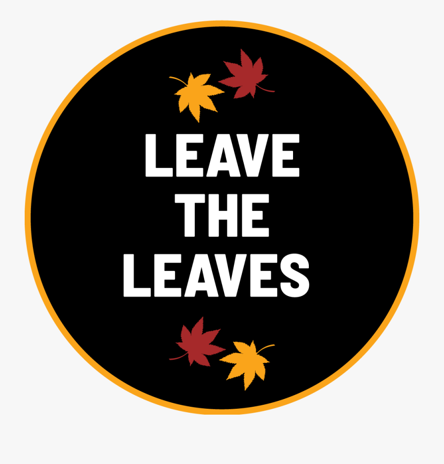 Fighter Squadron, Transparent Clipart