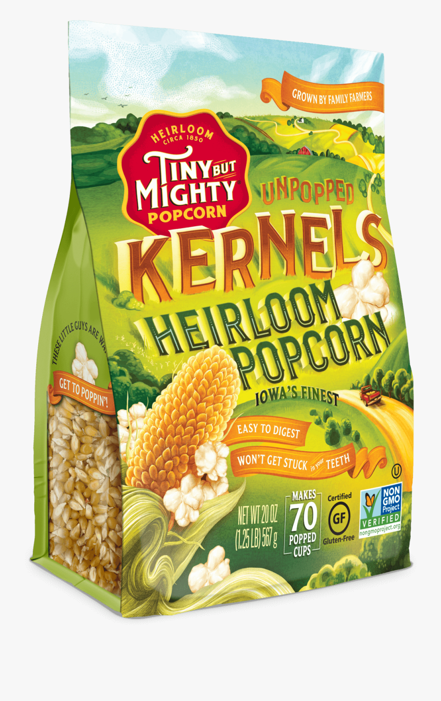 Popcorn Kernel Png - Heirloom Popcorn, Transparent Clipart