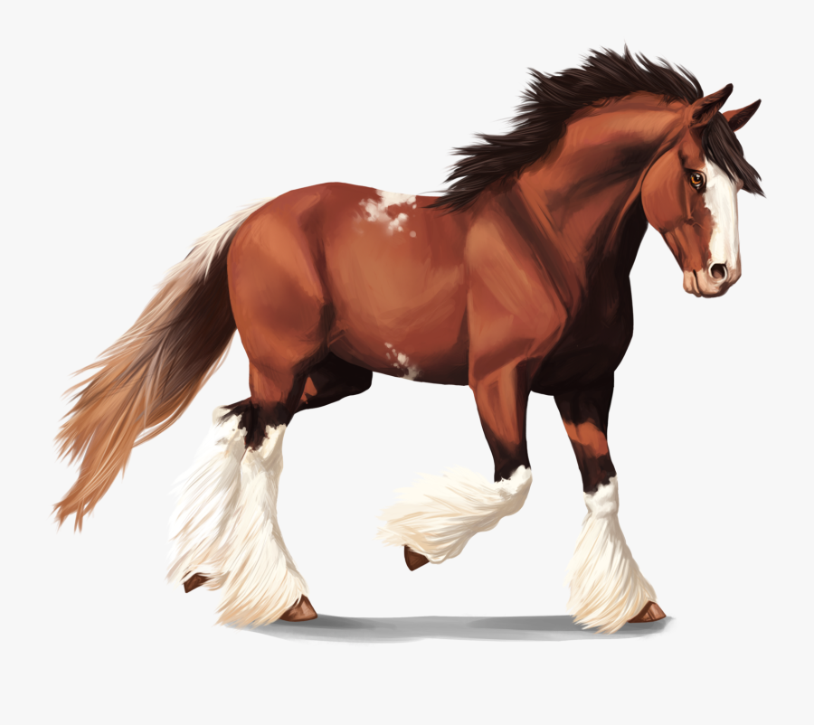 Horse Studying - Clydesdale Horse No Background, Transparent Clipart