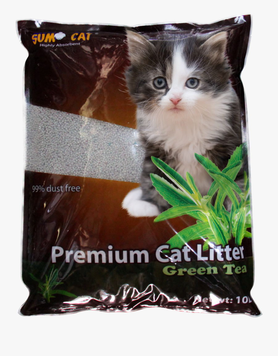 Clip Art Cats Whiskers Plant, Transparent Clipart