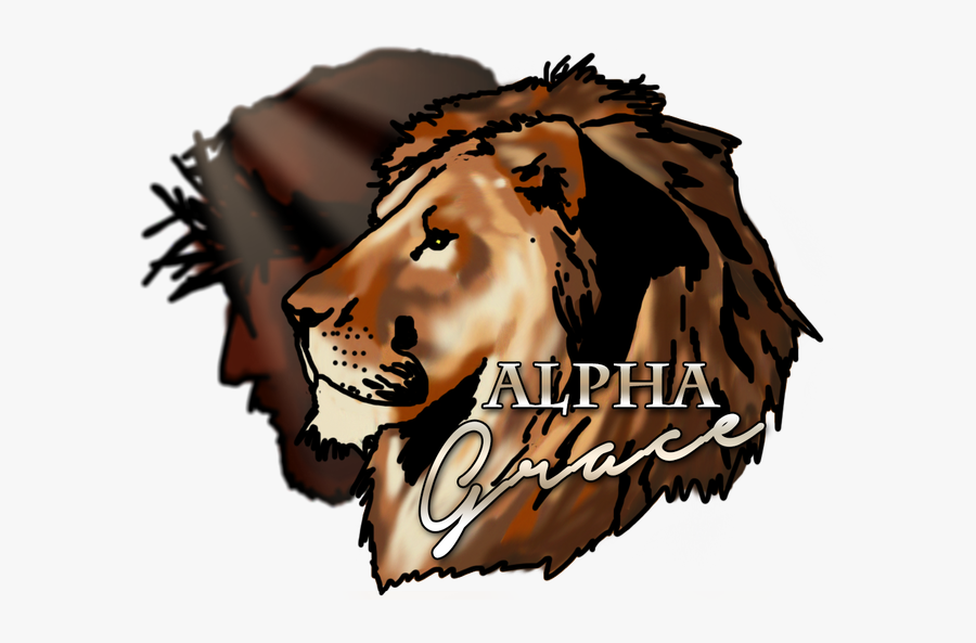 Picture - Illustration, Transparent Clipart