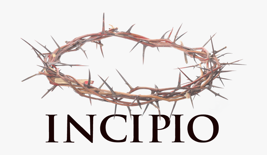 Crown Of Thorns On Cross Png - በእርሱ ቁስል እኛ ተፈወስን, Transparent Clipart