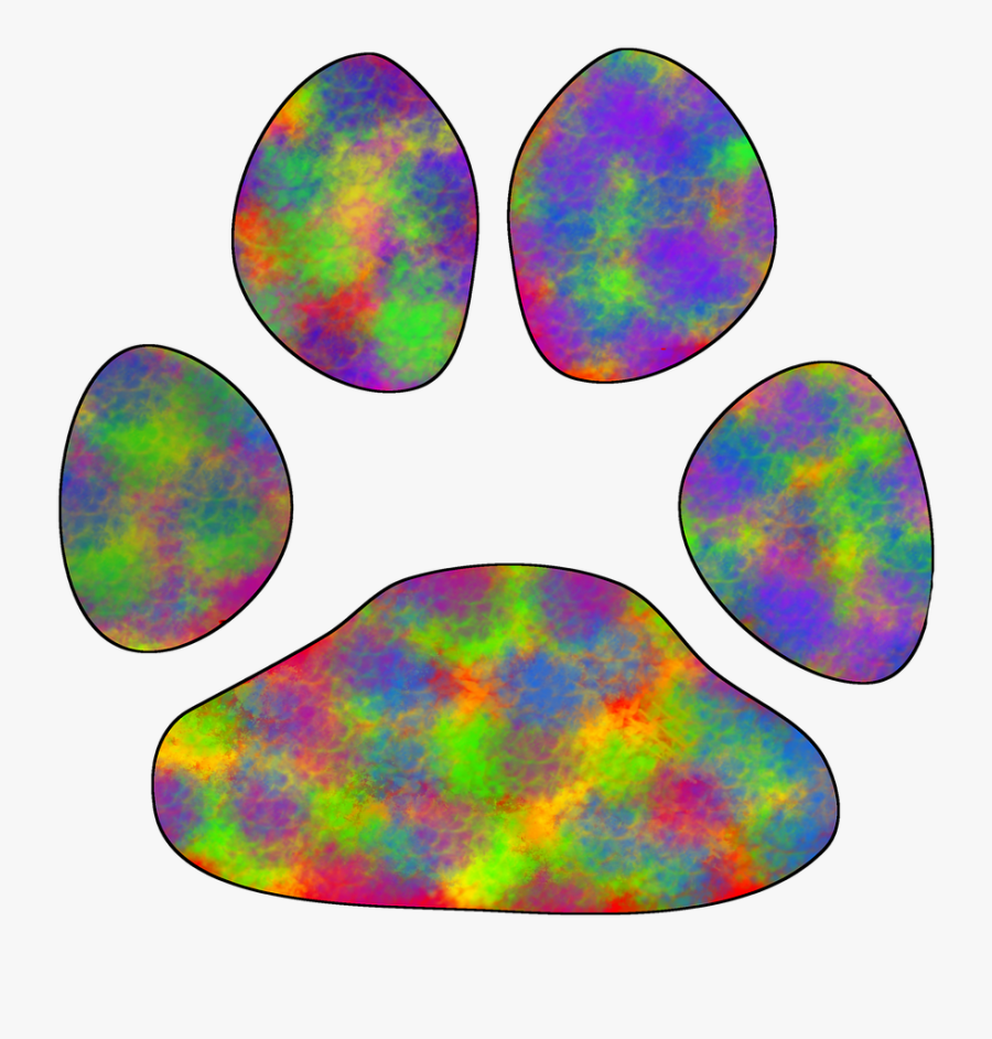 Coloring Book, Transparent Clipart
