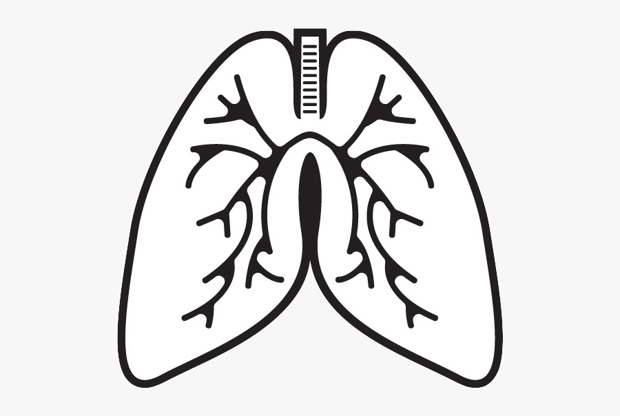 Gasp Worthy Facts - Lungs Clipart Black And White, Transparent Clipart