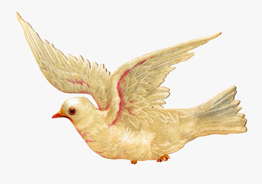 Religious Easter Clipart Interesting Inspiration - Vintage Bird Illustrations Flying, Transparent Clipart