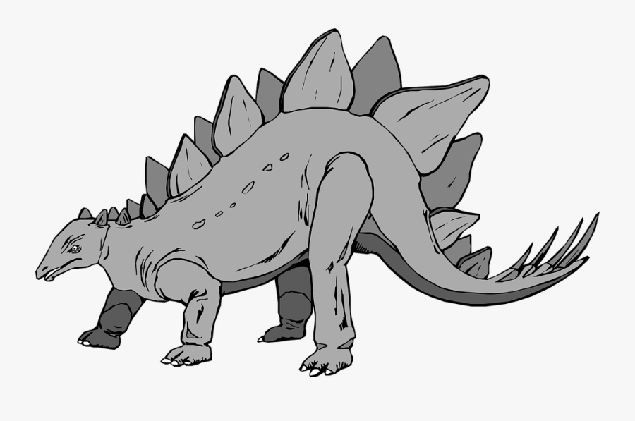 Gray Dinosaur Stegosaurus - Gray Stegosaurus, Transparent Clipart