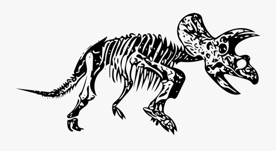 Triceratops Dinosaur Fossil Free Picture - Transparent Dinosaur Fossil, Transparent Clipart