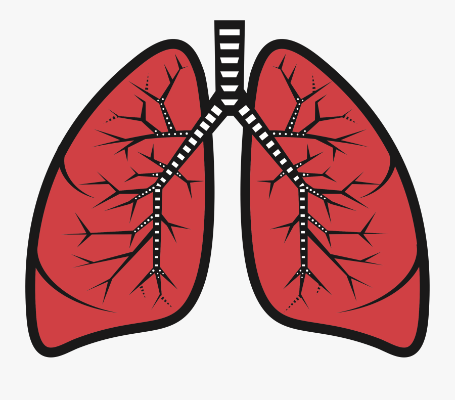 Thumb Image - Lungs Clipart, Transparent Clipart