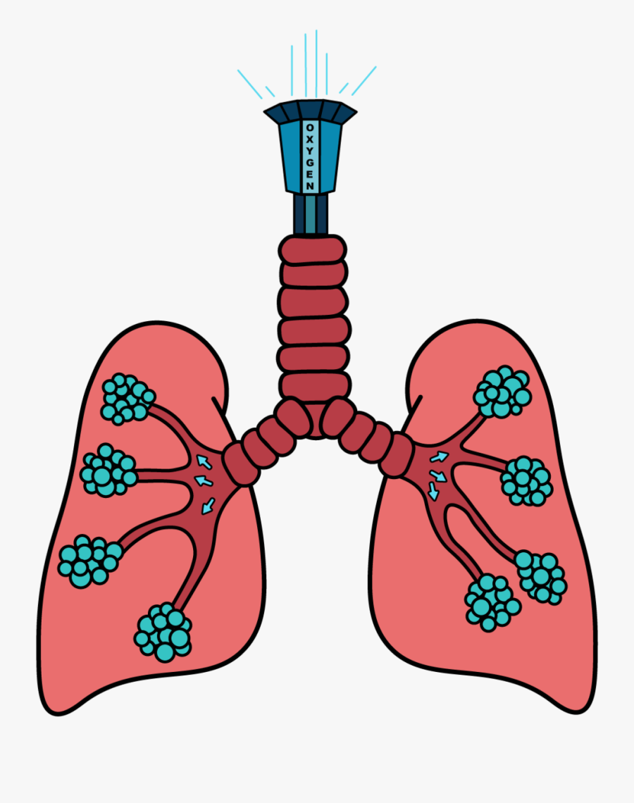 Drop Tower Lung Ride To Go Along With The Theme Park, Transparent Clipart