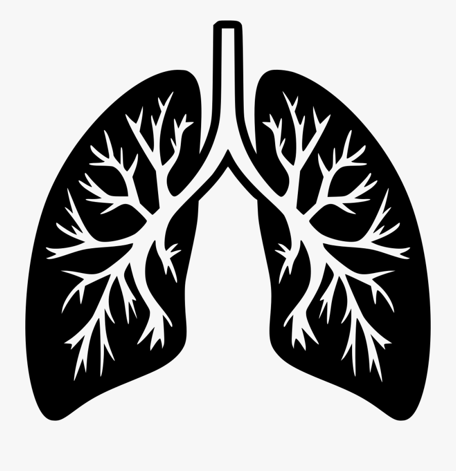 Clip Art Svg Icon Free Download - Lungs Png Icon, Transparent Clipart