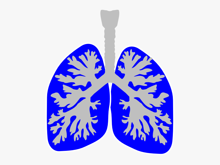 Lungs Clipart Blue, Transparent Clipart