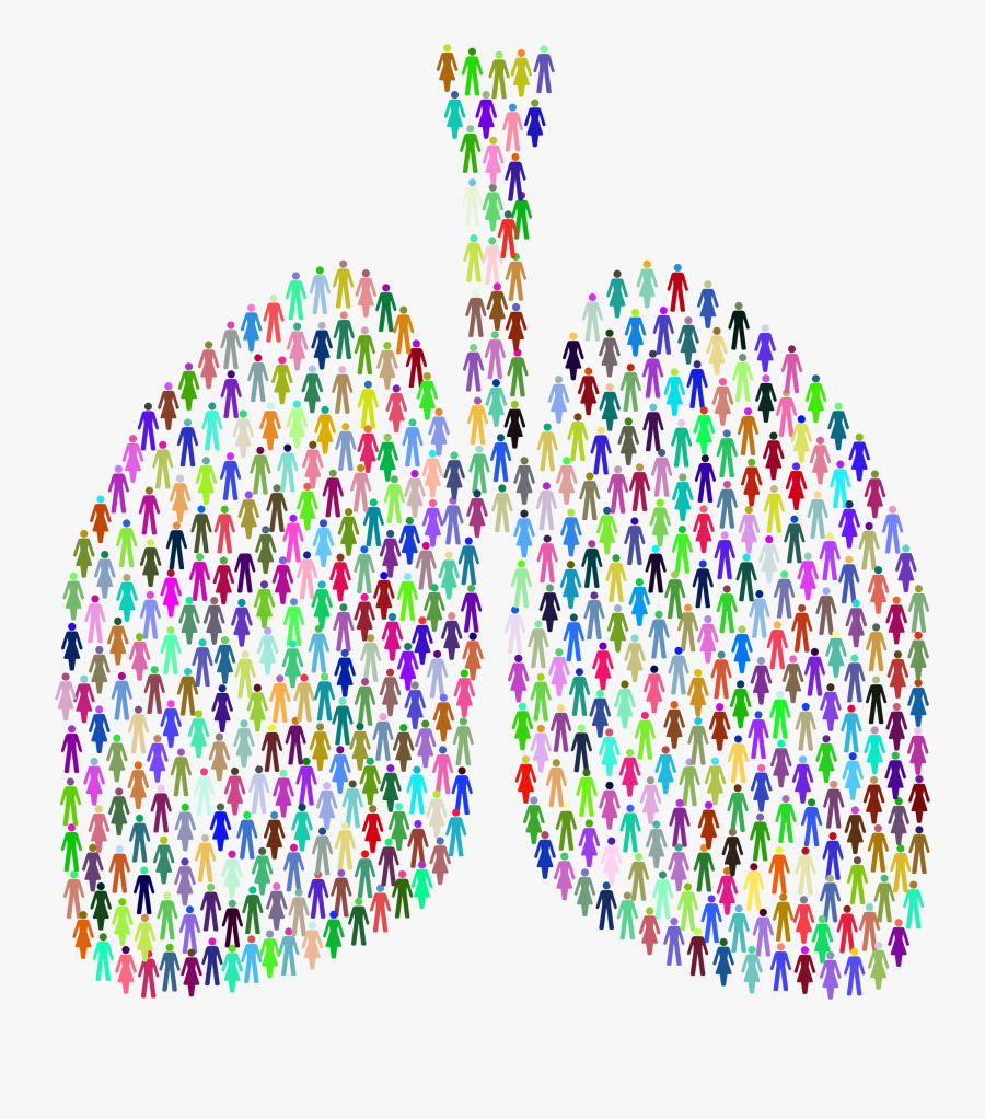 Transparent Bronchi Clipart - People Lungs, Transparent Clipart