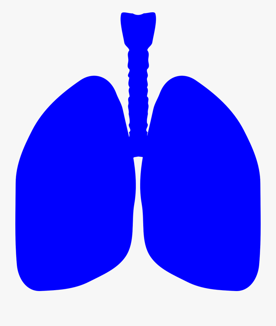 Transparent Human Body Png - Blue Lungs Clipart, Transparent Clipart