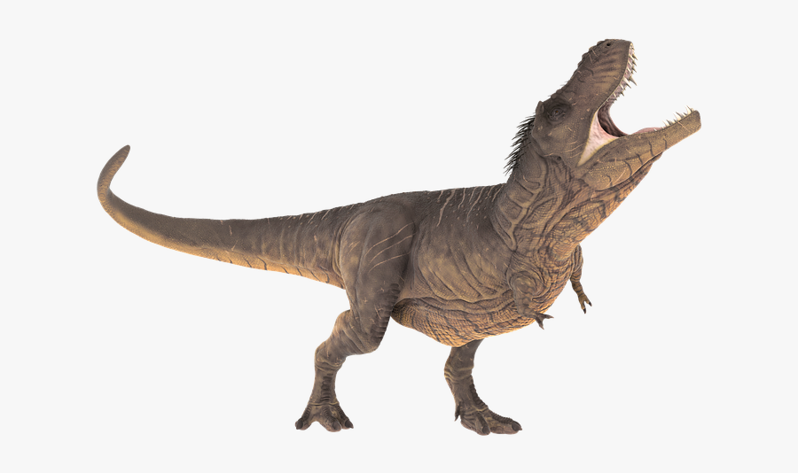 T Rex Roaring Transparent, Transparent Clipart