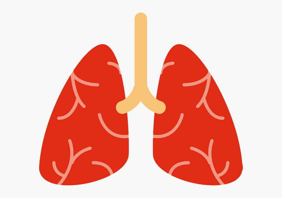 74859 - Lungs Png, Transparent Clipart