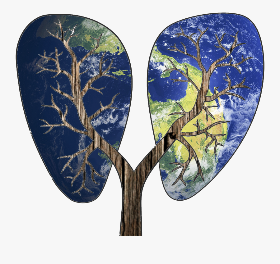 Transparent Tree Branch Vector Png - Tree, Transparent Clipart