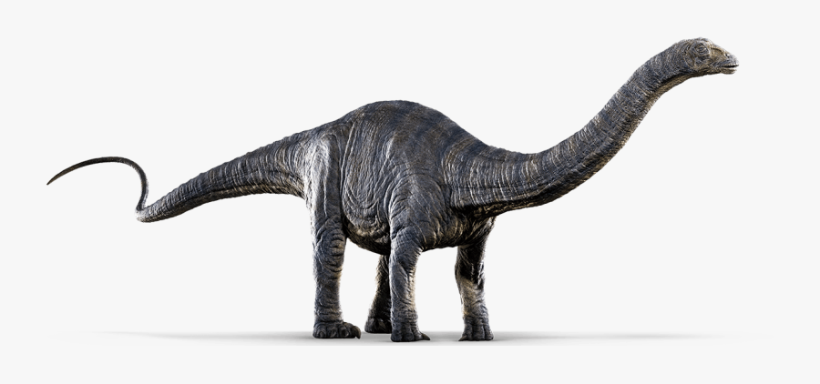 Dinosaur Clipart Apatosaurus - Jurassic World Apatosaurus, Transparent Clipart